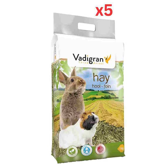Vadigran Hay 30 L – 1 Kg (Pack Of 5) Other Pets Food "BAE" Charm Bracelet