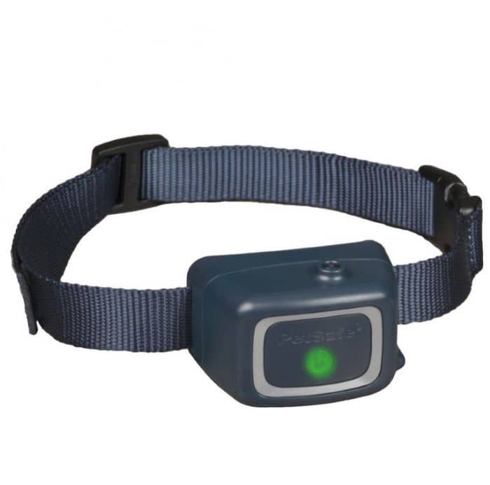 Petstages Spray Bark Dog Training Collar 2019 Model Collars & Harnesses "BAE" Charm Bracelet